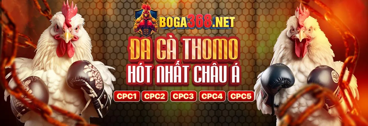Bảng cấp độ VIP của sanclub chính thức